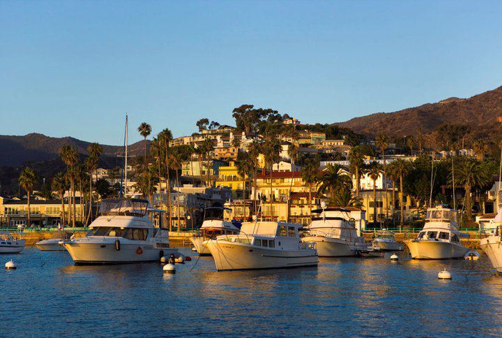 Boats in Avalon Harbor with Catalina Island in the background