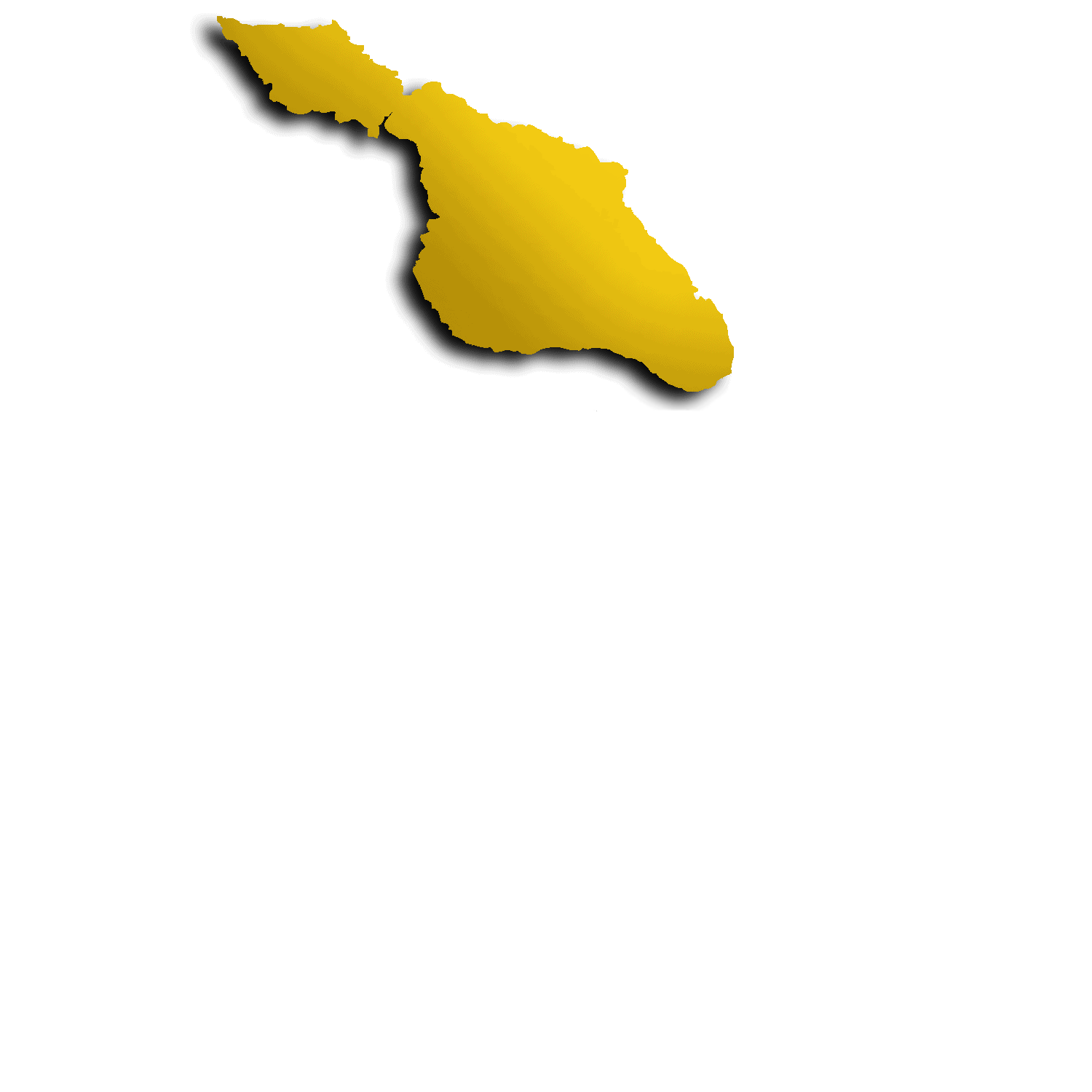 Catalina Film Festival & Institute