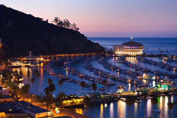Avalon Harbor at night