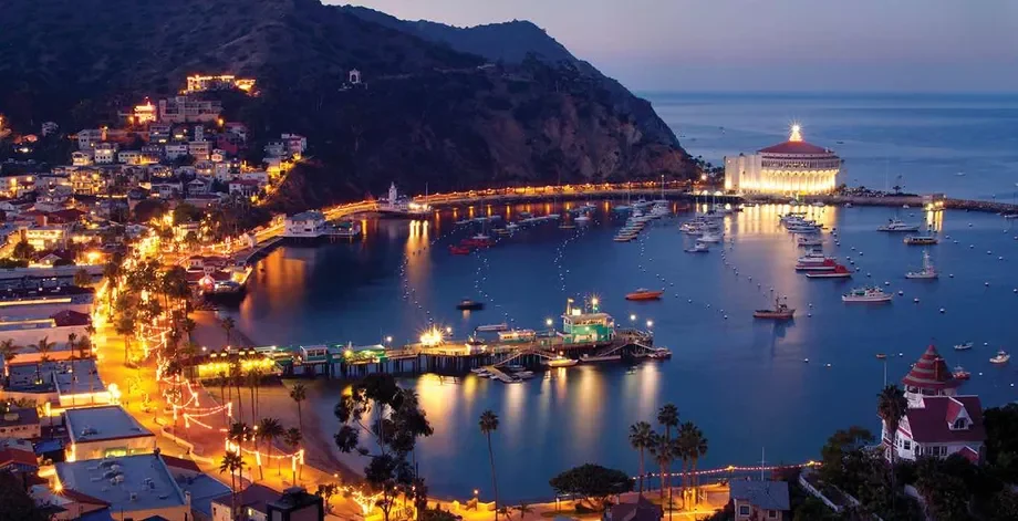 Catalina harbor at night