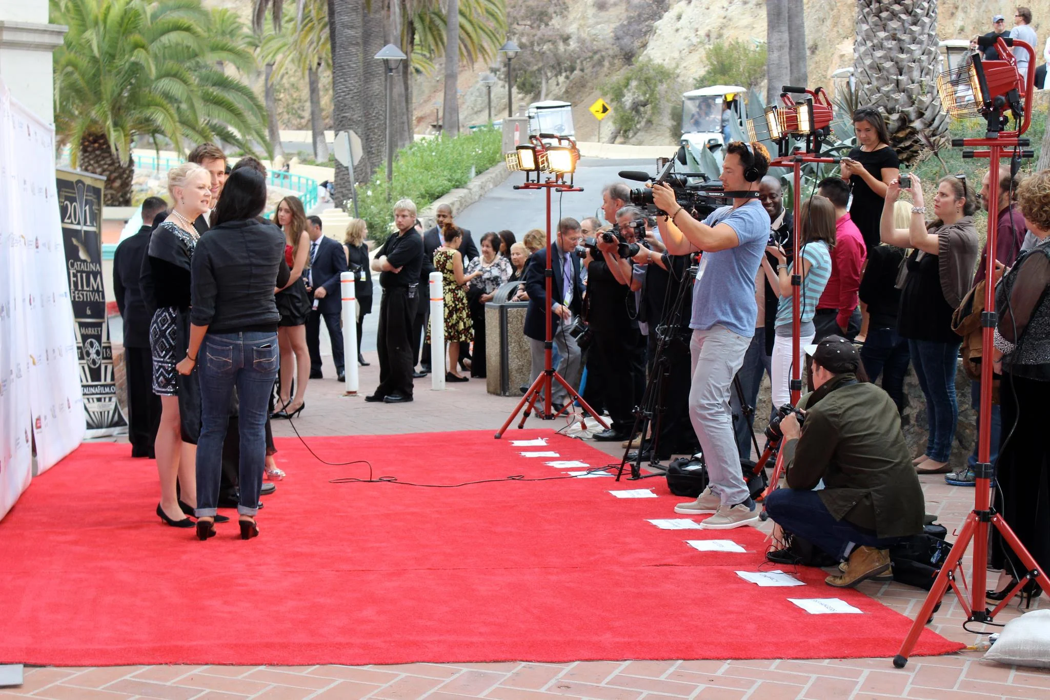 Festival red carpet and press area